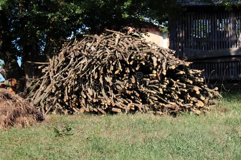 tree limbs